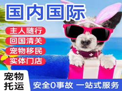 菏泽牡丹机场托运国际宠物托运 【国